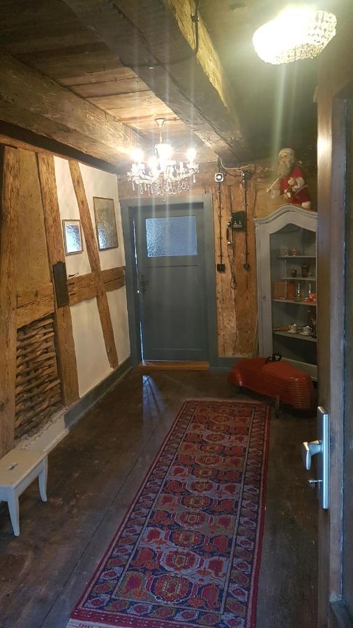 Historisches Fachwerkhaus "Hoher Hirschen" - Stilvolles Studio Und Museales Apartment Mit Romantischem Hof Und Garten บอดมัน-ลุดวิกส์ฮาเฟิน ภายนอก รูปภาพ